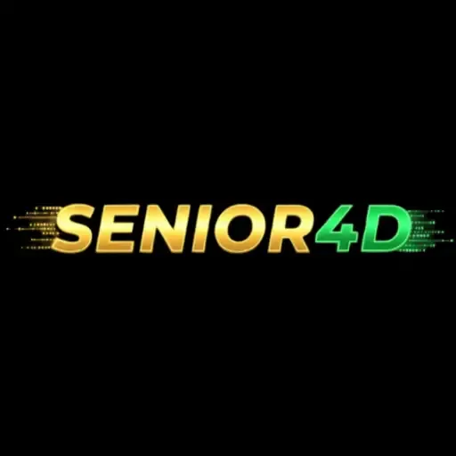 SENIOR4D - Petualangan Epik dalam Dunia MMORPG